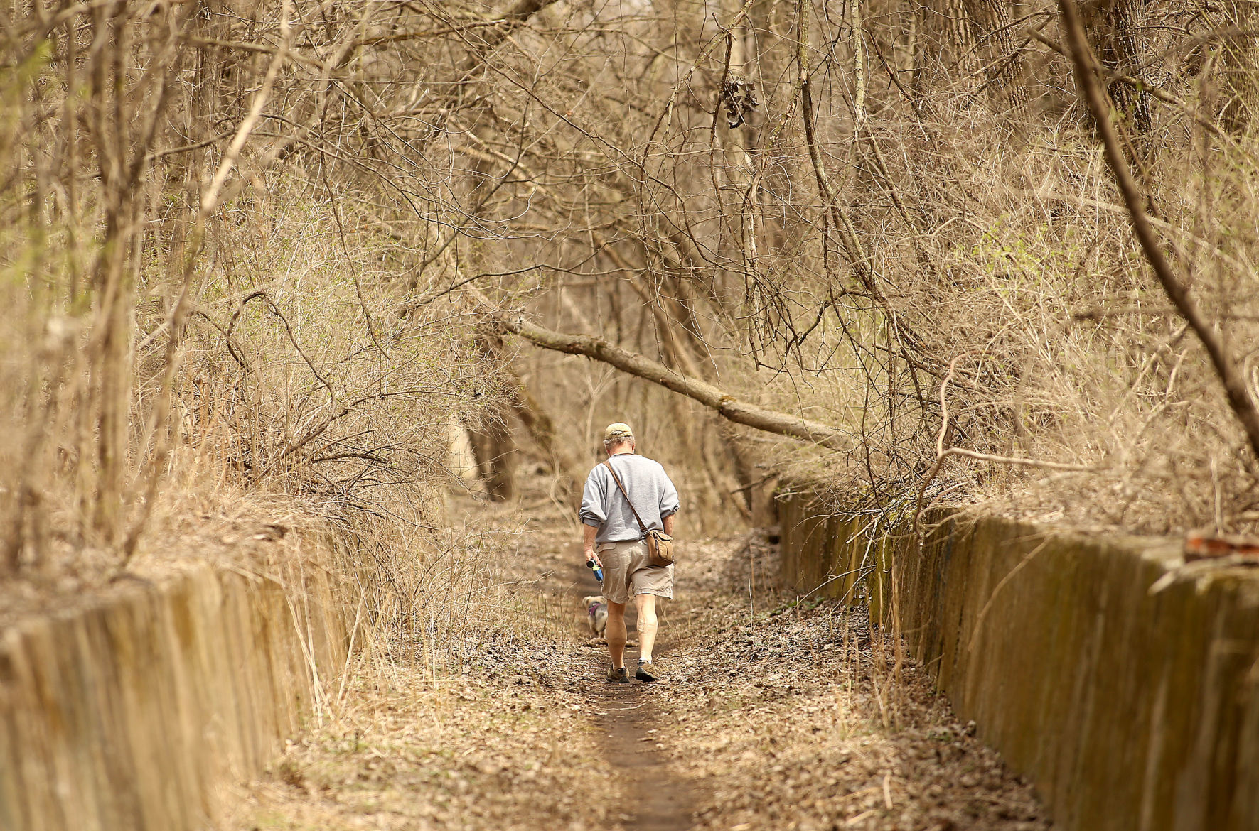 Sylvan dog walker